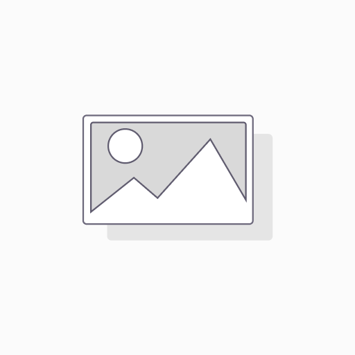 Calgary 2025 Print
